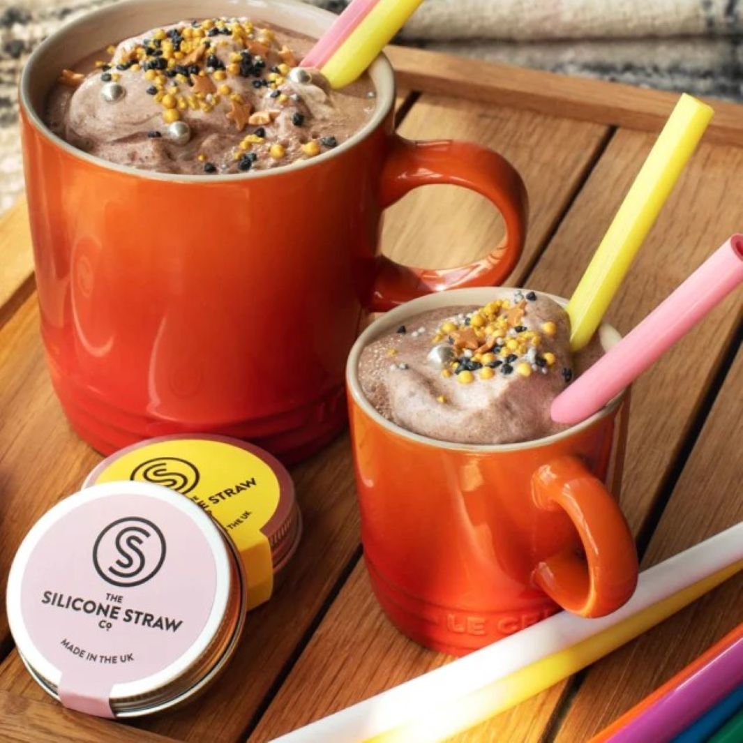 Reusable Silicone Straw with Travel Tin