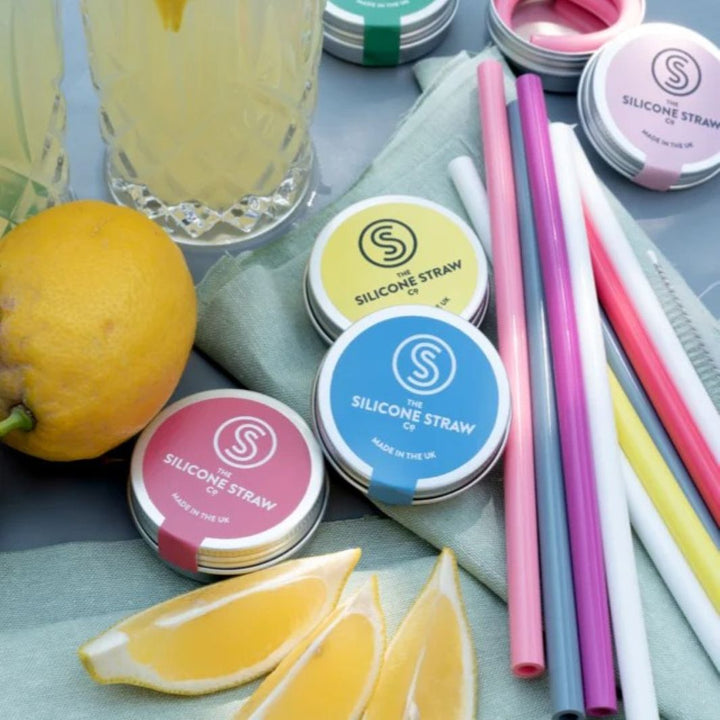 Reusable Silicone Straw with Travel Tin