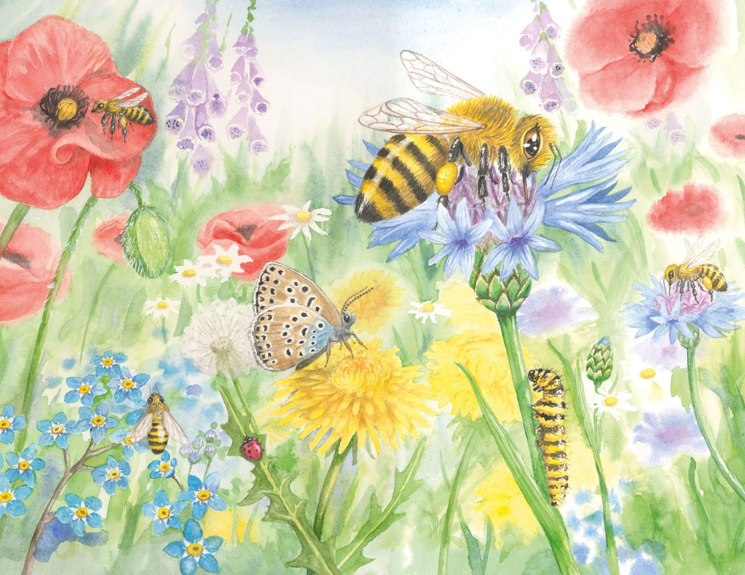 Ziggy's Frightening Flight - Eco Children's Book