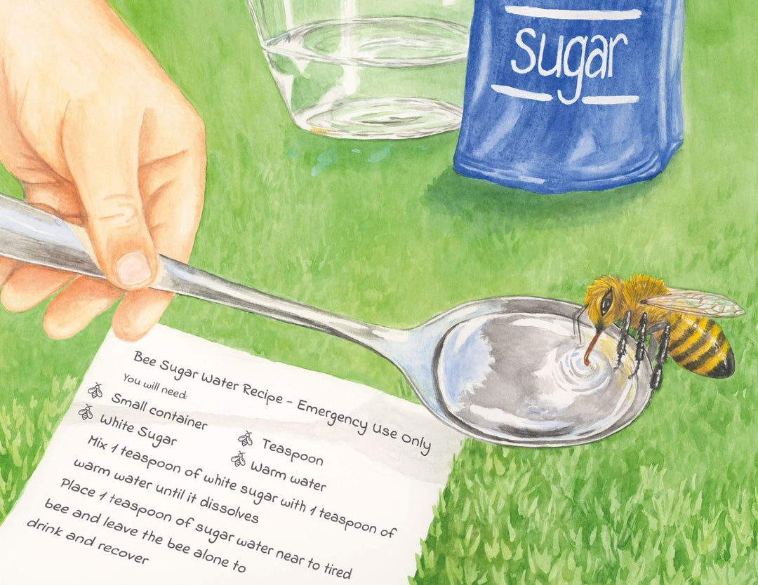 Ziggy's Frightening Flight - Eco Children's Book