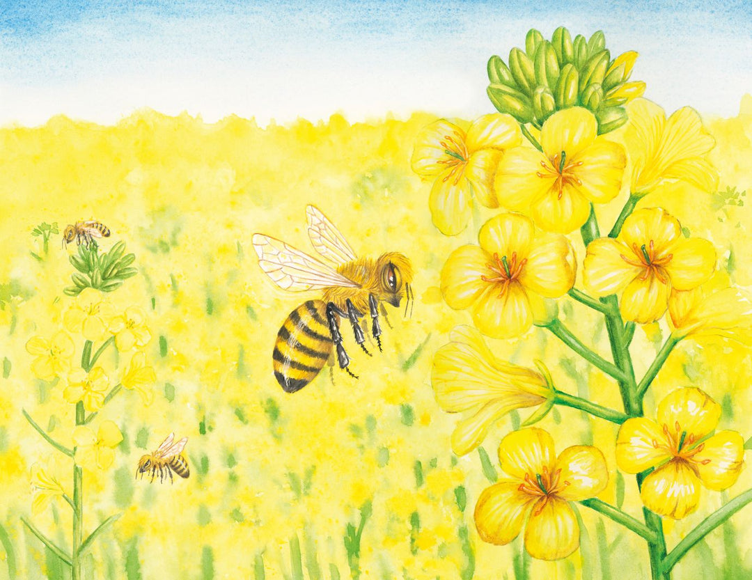 Ziggy's Frightening Flight - Eco Children's Book