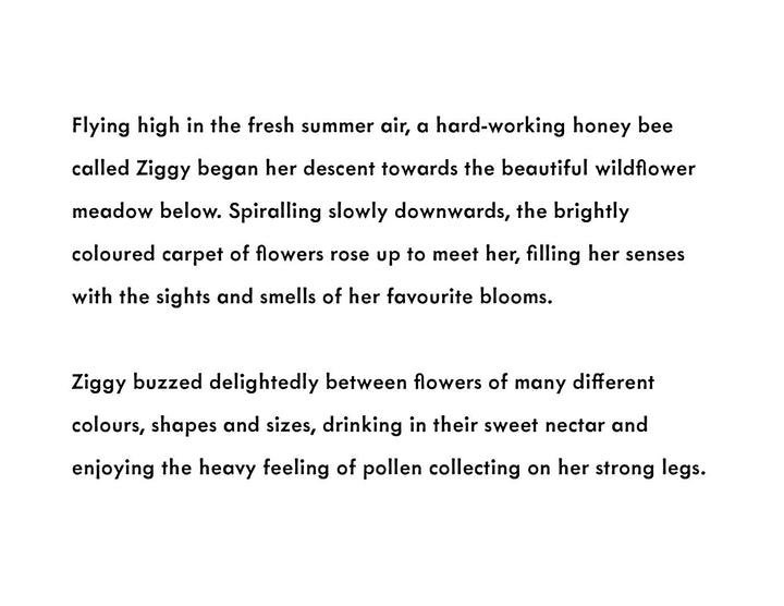 Ziggy's Frightening Flight - Eco Children's Book