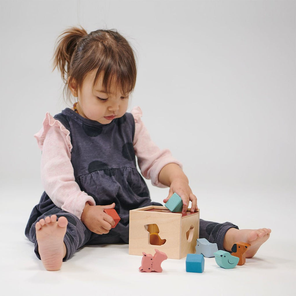 Cube World Montessori Wooden Shape Sorter - Sensory Rattles For Babies ...