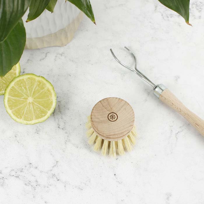 Dish Brush Head Plant Based Bristles
