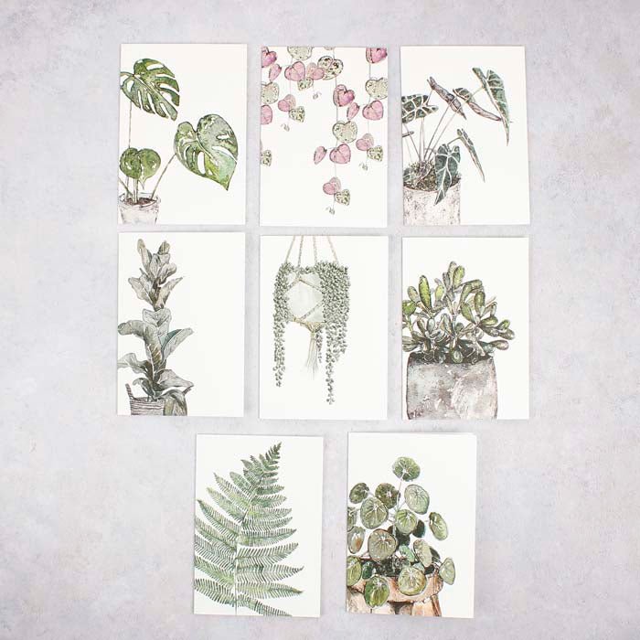 Greenery Notecard Set - Mixed Box of 8 - Green Tulip