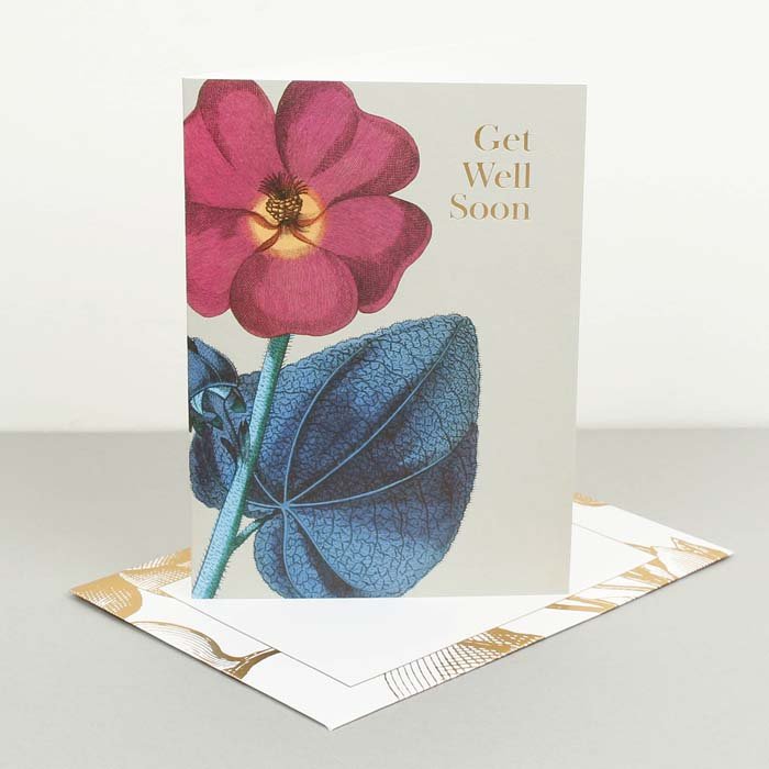 Kew Gardens Get Well Soon Card