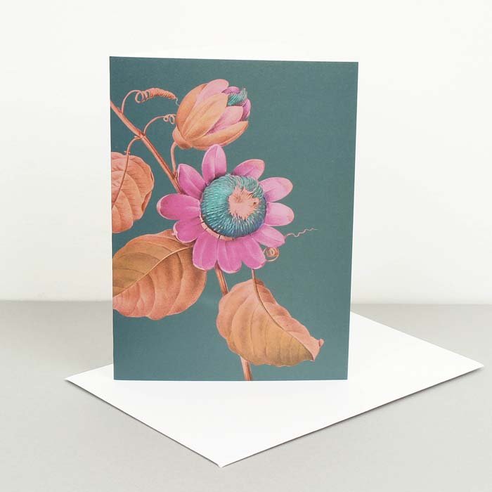 Kew Gardens Passion Flower Card