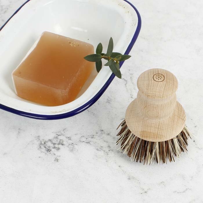 Pot Brush Plant Based Bristles