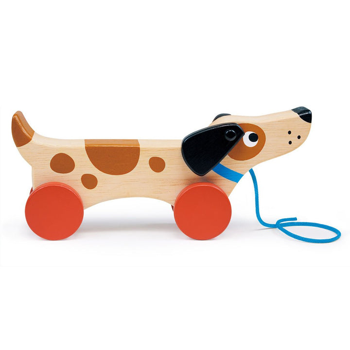 Puppy On Wheels - Green Tulip