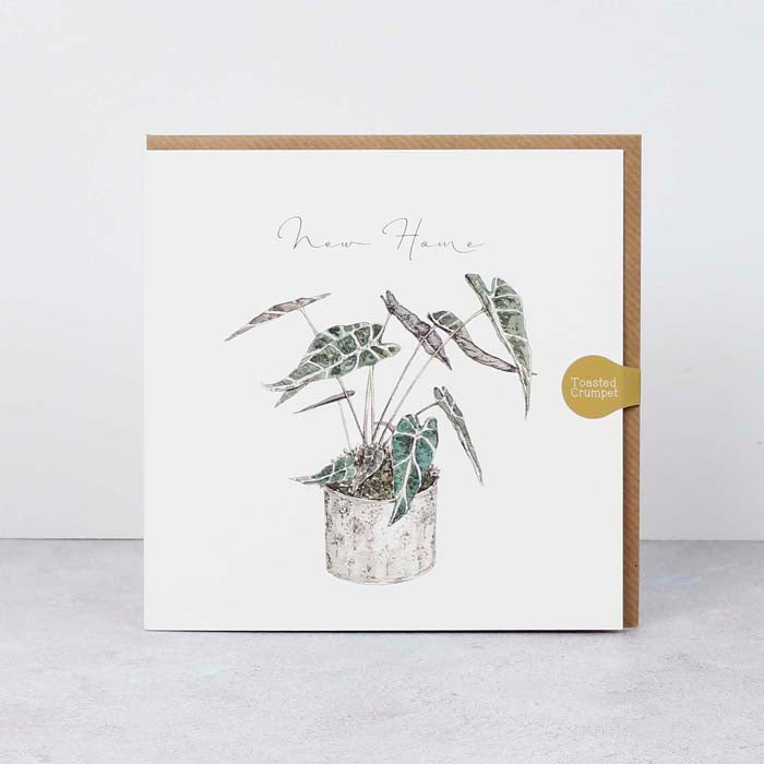 Plant New Home Square Card