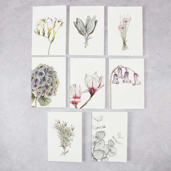 Botanicals Notecard Set - Mixed Box of 8