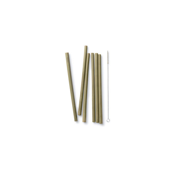 Reusable Bamboo Straws - Set of 6 with brush