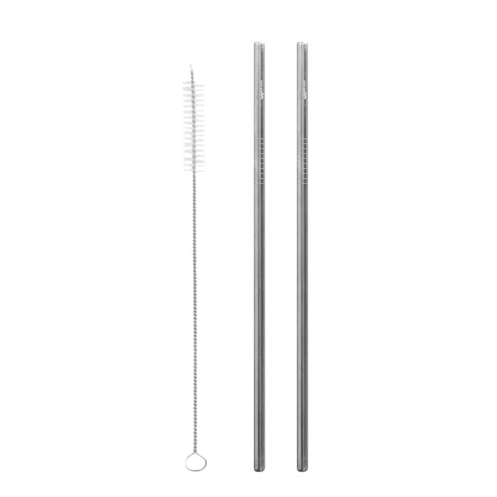 Stainless Steel Straws - Set of 2 + Brush