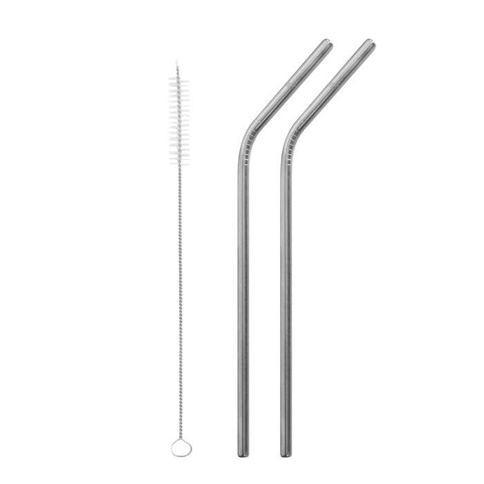 Stainless Steel Bent Straws - Set of 2 & Brush