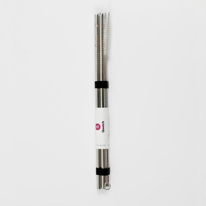 Stainless Steel Straws - Set of 4 + Brush